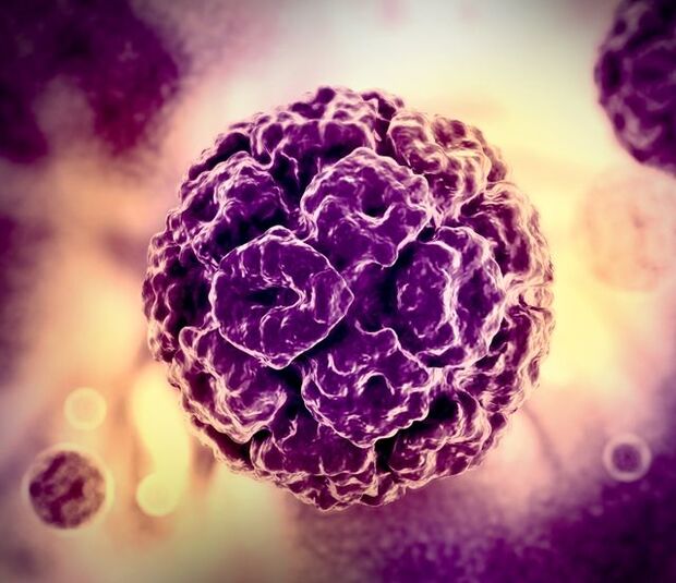 គំរូ 3D នៃវីរុស HPV (វីរុស papillomavirus របស់មនុស្ស)